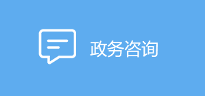 政务咨询