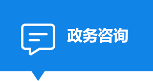 政务咨询