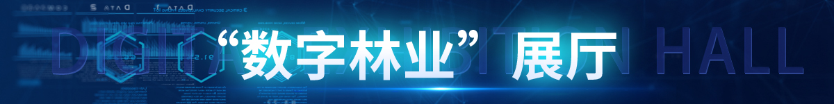 数字林业展厅