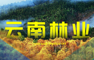 《云南林业》往期回顾