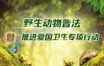 野生动物普法