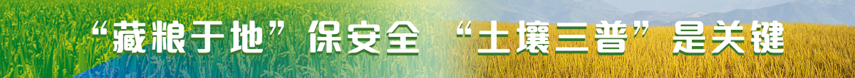 藏粮于地保安全 土壤三普是关键