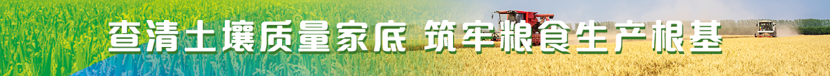 查清土壤质量家底 筑牢粮食生产根基