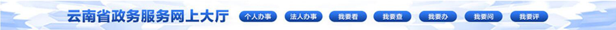链接到云南省政务服务网
